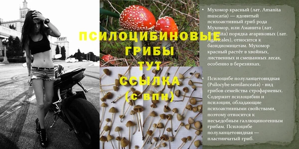 герыч Ельня