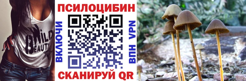 Псилоцибиновые грибы Psilocybine cubensis  Купить закладки  Первоуральск 